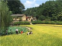 韶山大型实景演出《中国出了个毛泽东》简介